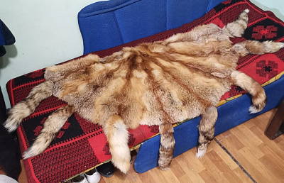 Превью Ковры из лисицы