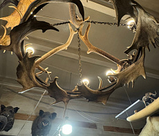 Люстра с рогами оленя 1 ярус