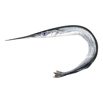 Фото Сарган черноморский свежемороженый Вылов 2025г 