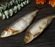 Сельдь тихоокеанская жирная свежемороженая крупная