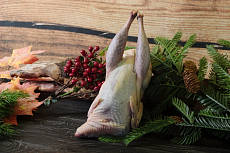 Фазан вольерный 0,6-0,8кг 